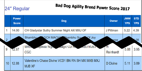 Bad Dog Agility Power Score 2017