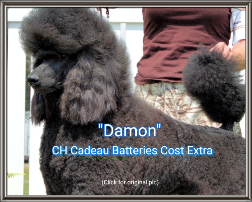 CH Cadeau Batteries Cost Extra