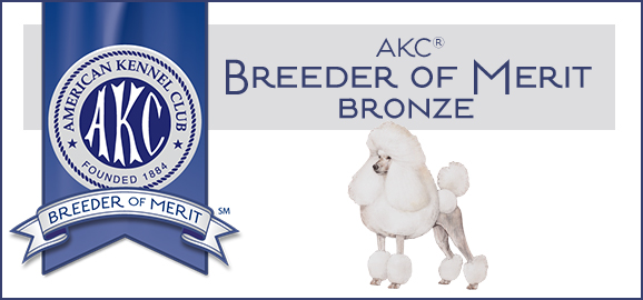 AKC Standard Poodle Breeder Bronze Award